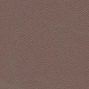 Contempo Vinyl Mink.jpg